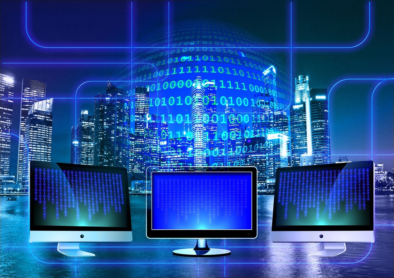 software developer, web developer, programmer